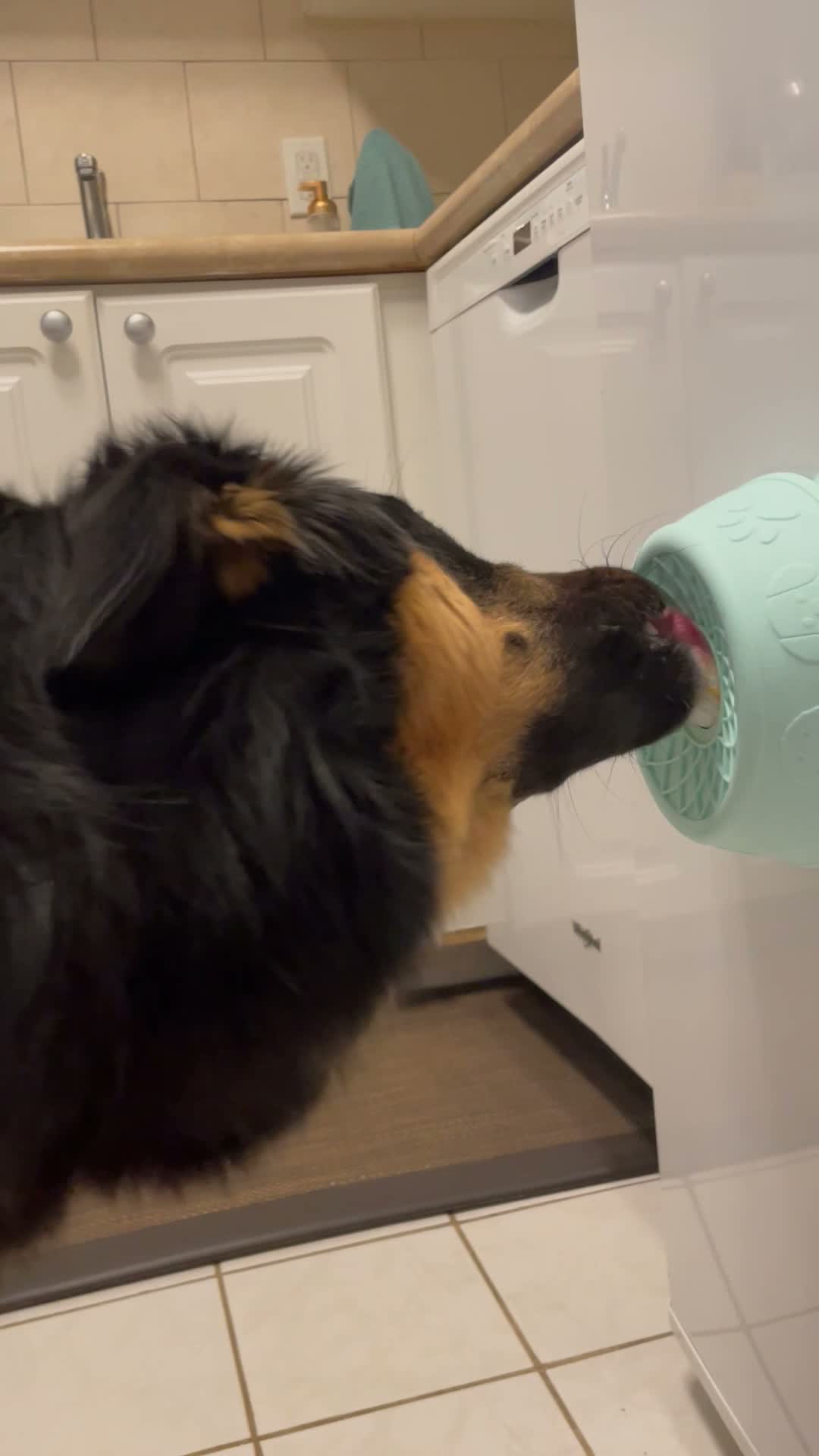 Still from Lisa's video review of The Hush Bowl