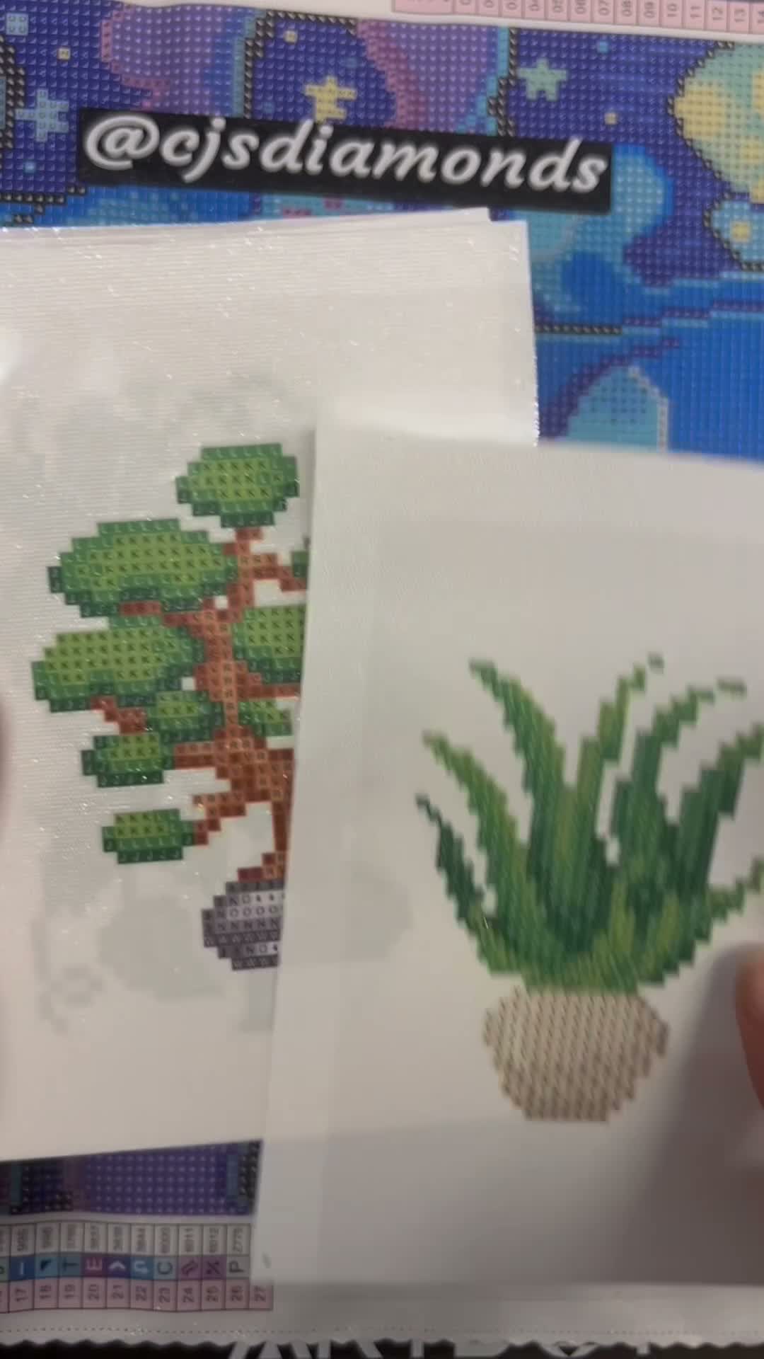Houseplants Edition
