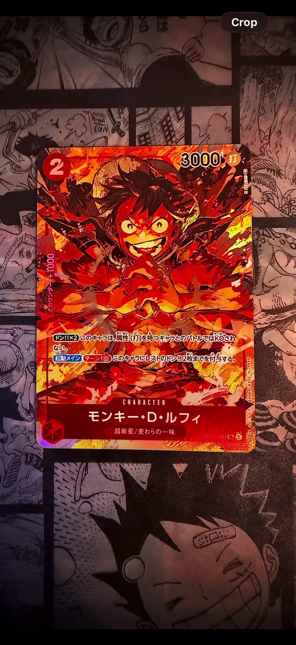 S8a-P] Zekrom 021/025〈P〉