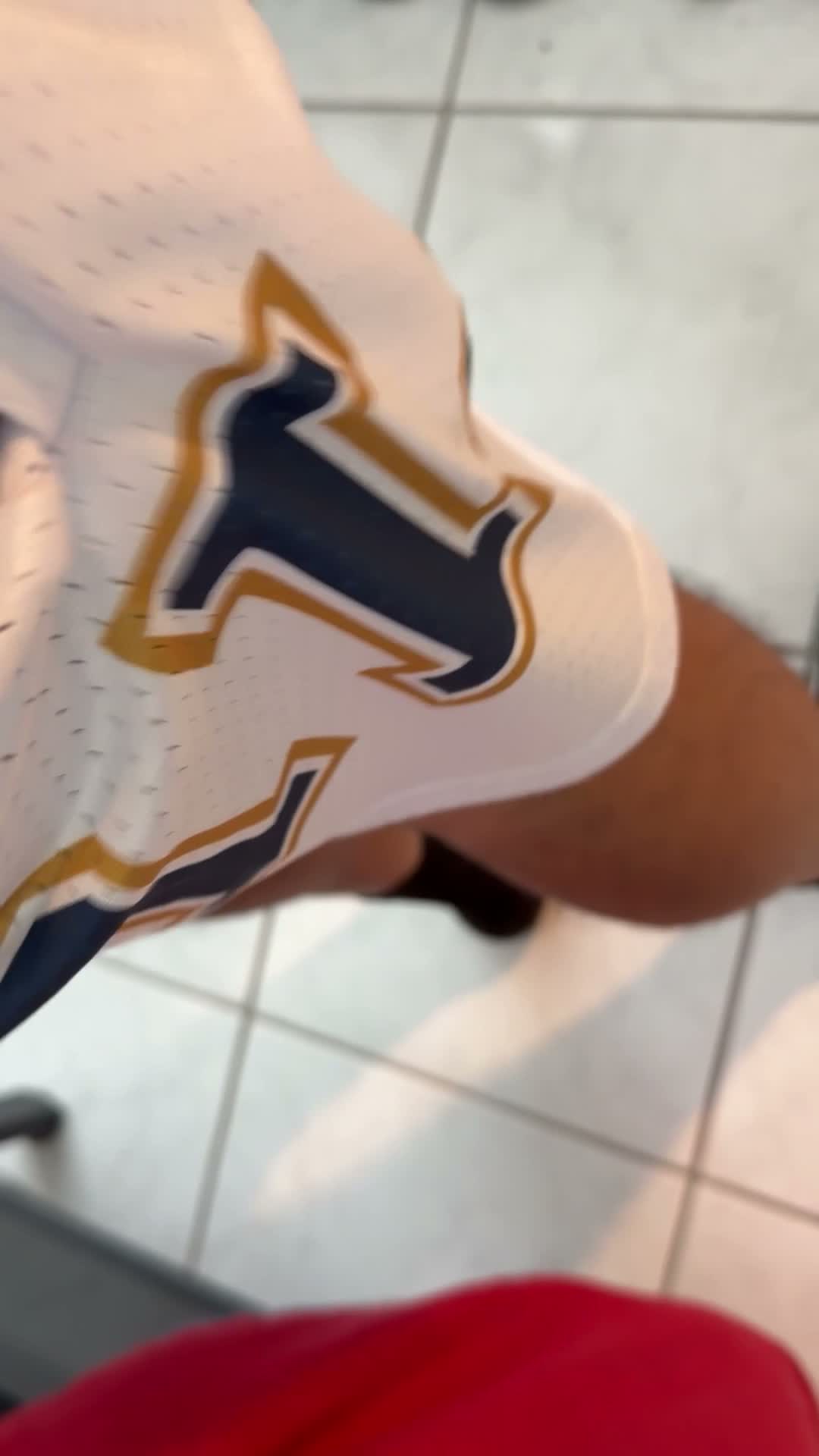 Video from Dañye's review