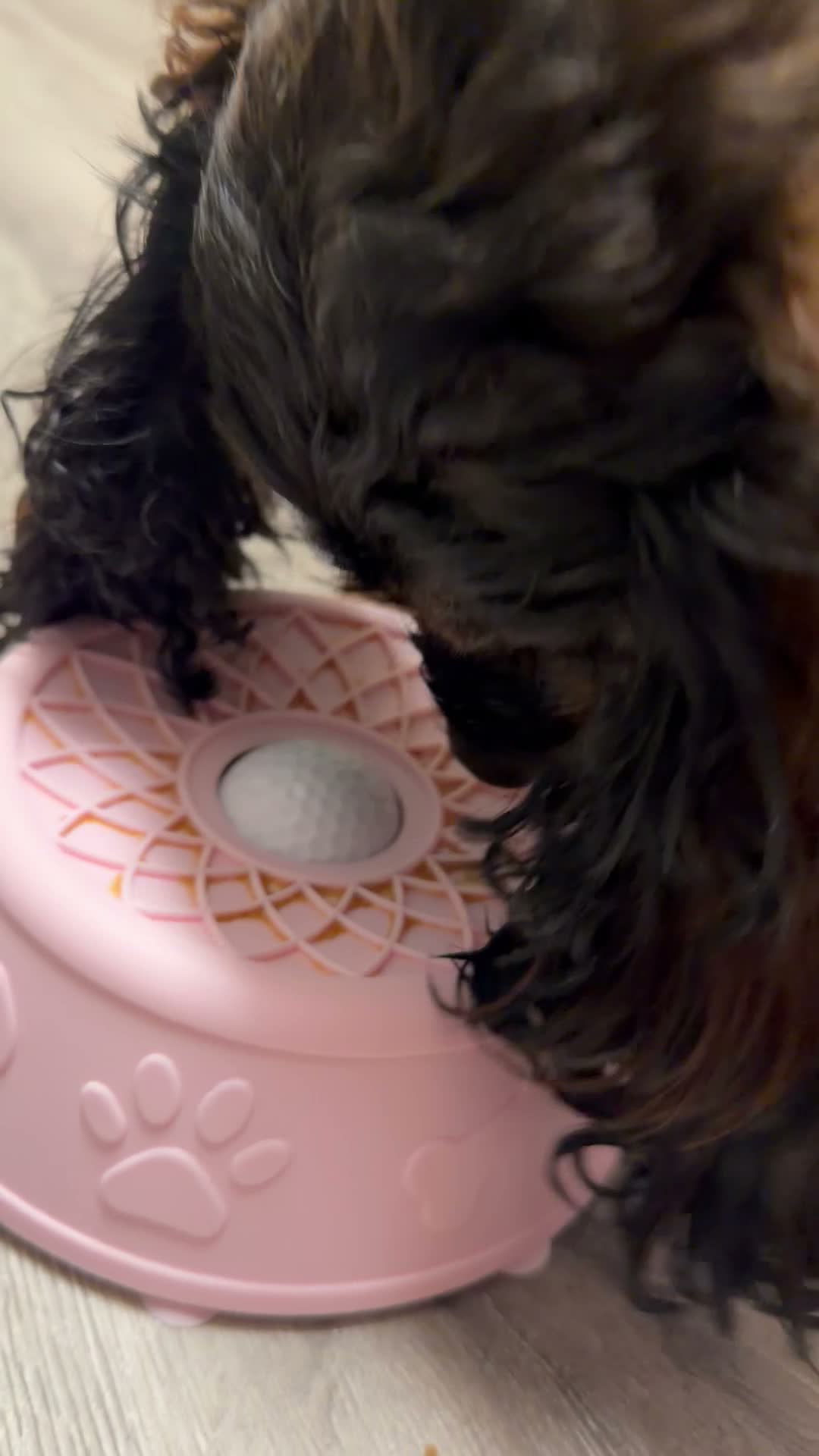Still from Penny's video review of The Hush Bowl